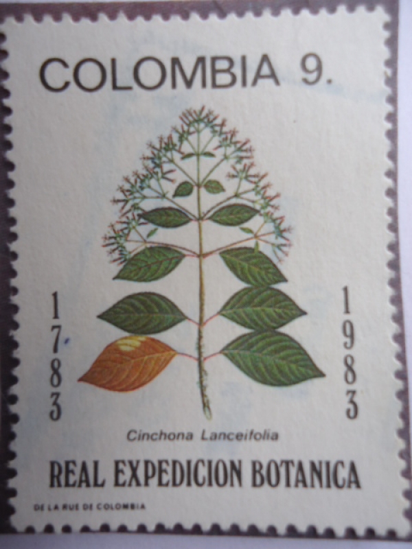 Bicentenario de la Expedición Botánica 1783-1983 -Cinchona Lanceifolia