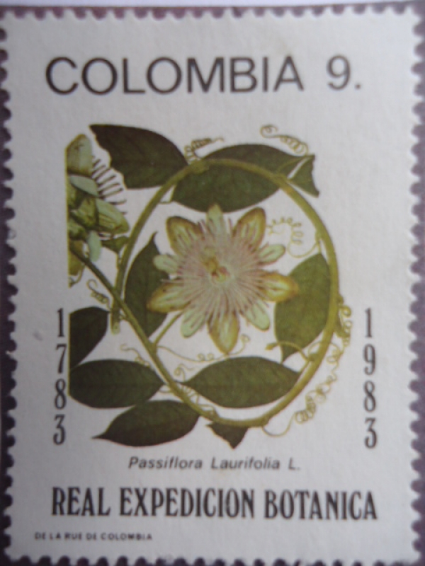 Bicentenario de la Expedición Botánica 1783-1983 - Possiflora Laurifilia L.
