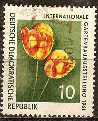Exposición Internacional de Horticultura 1961,dos tulipanes (DDR).