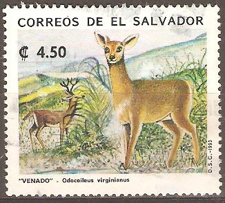 VENADO.  ODOCOILEUS  VIRGINIANUS.