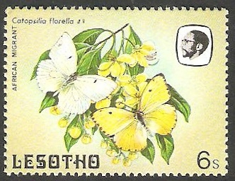 566 - Mariposas
