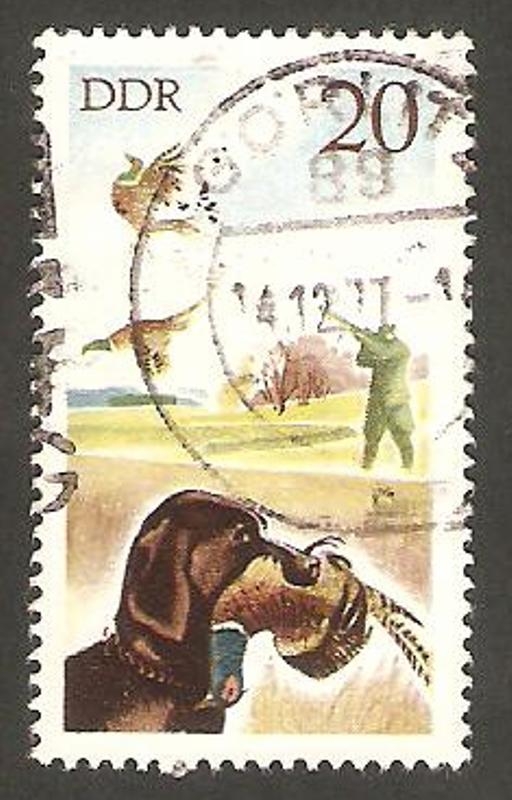 1942 - La caza del faisan
