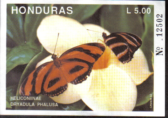 Mariposas