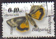 Bulgaria 2004 Scott 4291 Sello Mariposas Noctua Tertia Butterflies Usado Michel 4633