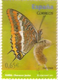 MARIPOSAS.  CHARAXES  JASIUS.