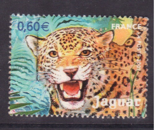 Jaguar