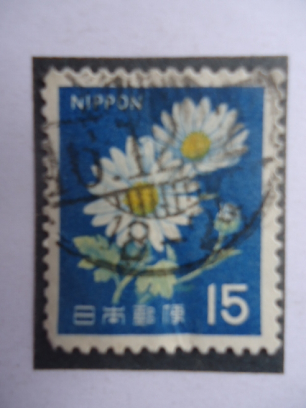 Nippon - Flor de la Manzanilla.