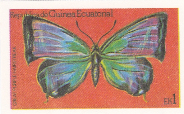 mariposa