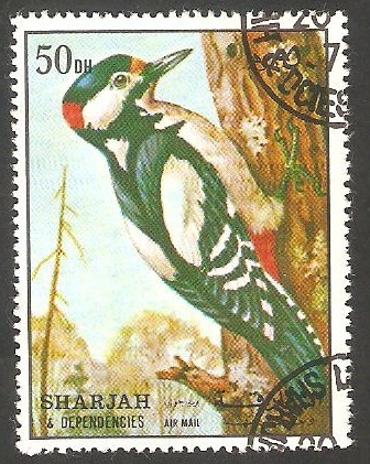 Sharjah - Pájaro