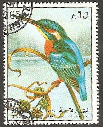 Sharjah - Pájaro