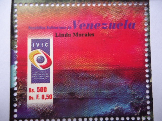 Linda Morales. Artista Plástica Venezolana.