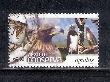 México conserva águilas
