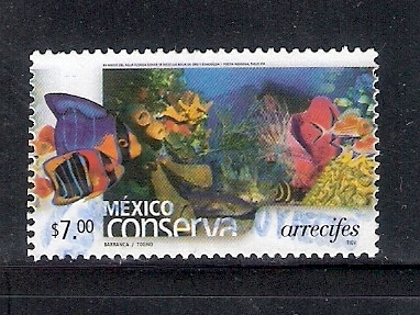 México conserva arrecifes