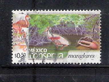 México conserva manglares