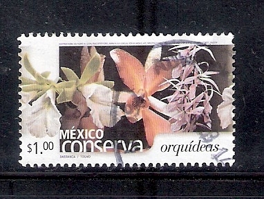 México conserva orquídeas