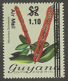 1 - Flor norantea guianensis 