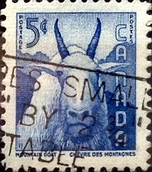 Intercambio 0,20 usd 5 cent 1956