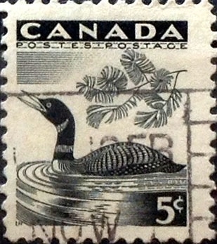 Intercambio cxrf2 0,20 usd 5 cent 1957
