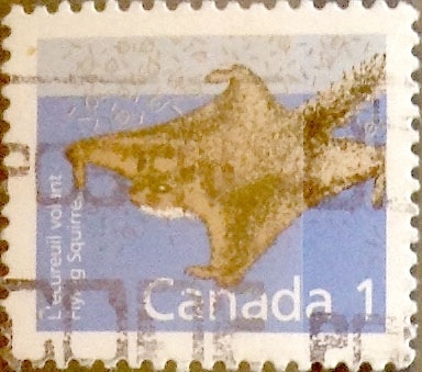 Intercambio 0,20 usd 1 cent 1988