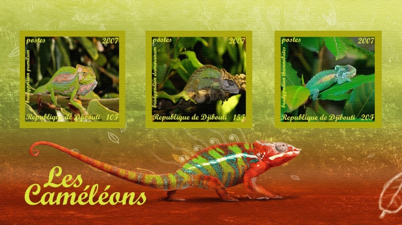 camaleones reptiles