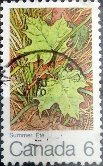 Intercambio nf4xb1 0,20 usd 6 cent 1971