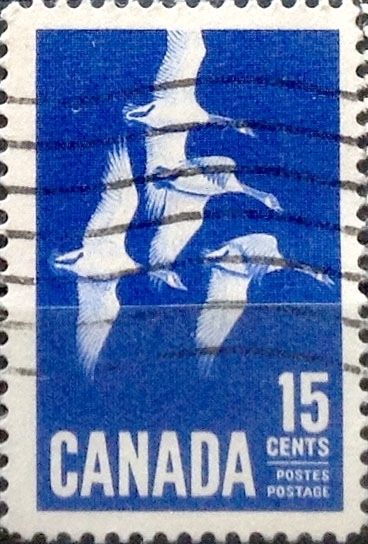 Intercambio 0,20 usd 15 cent 1963