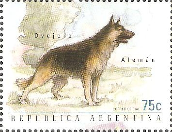 PERROS.  OVEJERO  ALEMÀN.