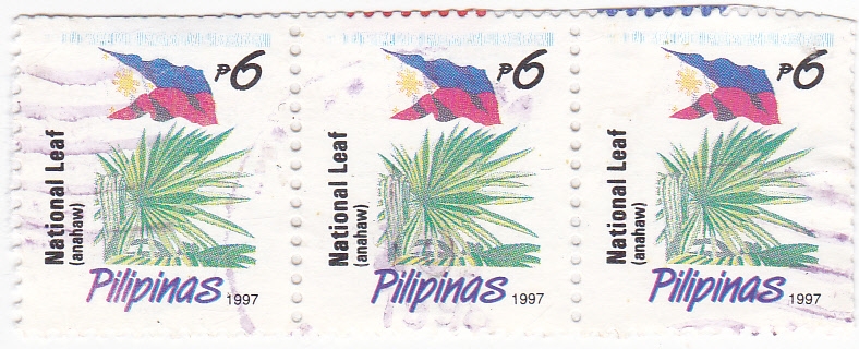 Planta filipina y bandera nacional