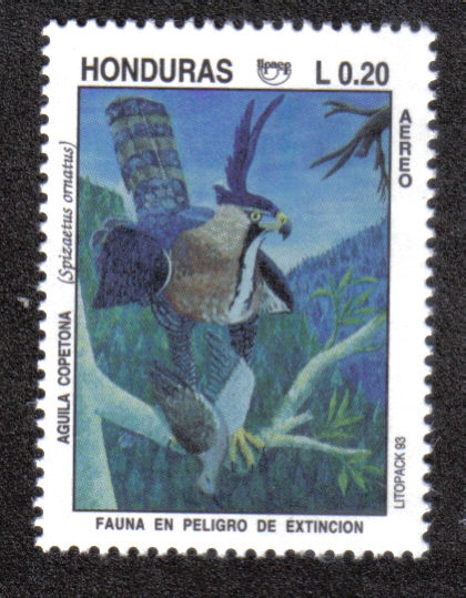 Fauna en Peligro de Extinción 