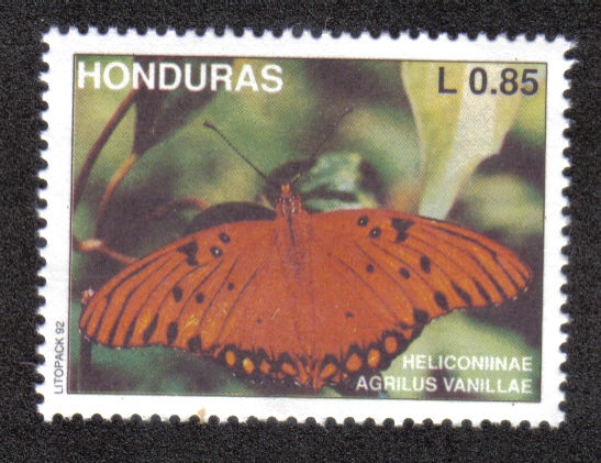 Mariposa