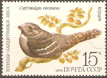 AVES.  CAPRIMULGUS  EUROPAEUS.