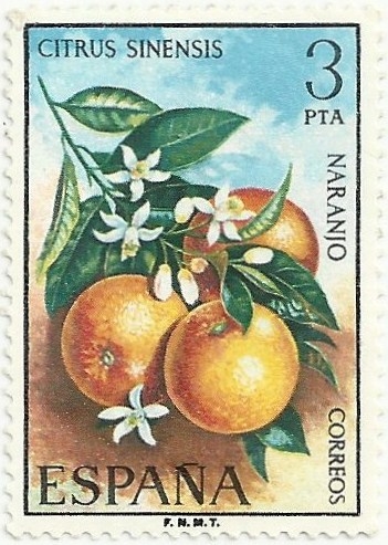 FLORA GRUPO IV. NARANJO. Citrus Sinensis. EDIFIL 2256