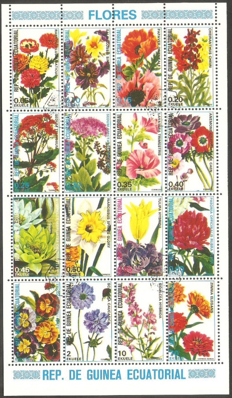 Flores