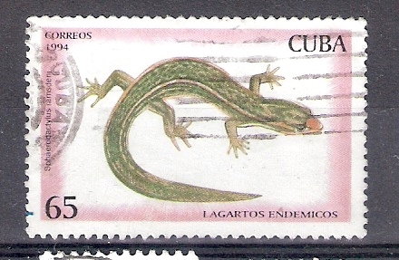 Lagartos endémicos: Sphaerodactylus ramsdeni