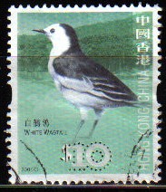 CHINA HONG KONG 2006 Sello Serie Pájaros White Wagtail usado