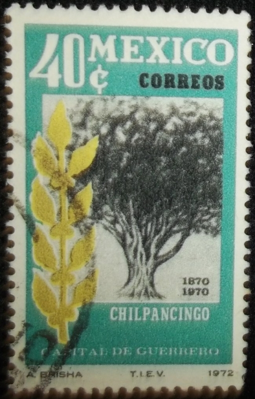 Árbol de Laurel de la India