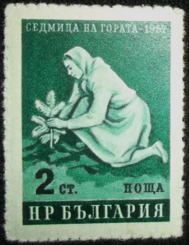Mujer plantando un Árbol