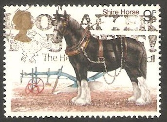 868 - Caballo de raza
