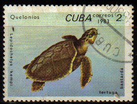 CUBA 1983 M-2767 SELLO ANIMALES TORTUGA QUELONIOS TURTLE USADO