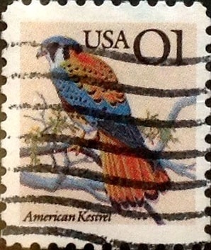 Intercambio 0,20 usd 1 cents. 1990