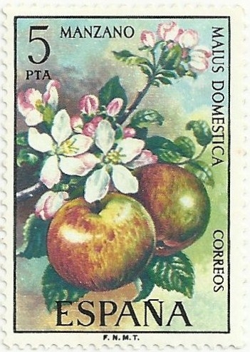 FLORA GRUPO IV. MANZANO. Malus Domestica. EDIFIL 2258