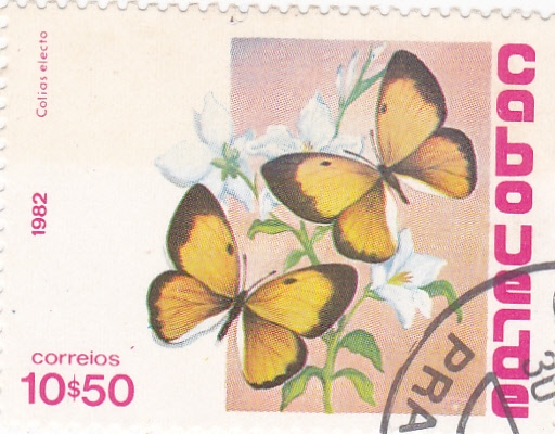 Mariposas