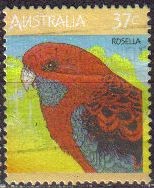 AUSTRALIA 1987 Michel 1044 SELLO ANIMALES, AVES PERIQUITO ROSELLA