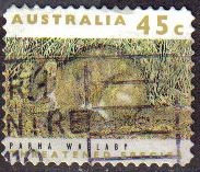 AUSTRALIA 1992 Scott 1235a Sello Especies amenazadas extinción Quiropteros Parma Wallaby usado Miche