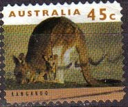 AUSTRALIA 1993 Scott 1275 Sello Animales Canguro con cria Kangaroo with joey Usado Michel 1403