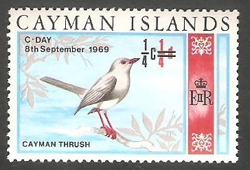 Islas Caimán - 229 - Pájaro