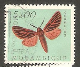 434 - Mariposa