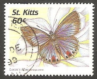 St. Kitts - 886 - Mariposa