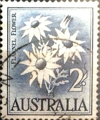  2 shilling 1959