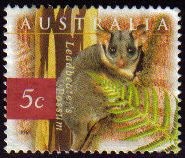 AUSTRALIA 1996 Michel 1575 SELLO ANIMALES KOALA USADO